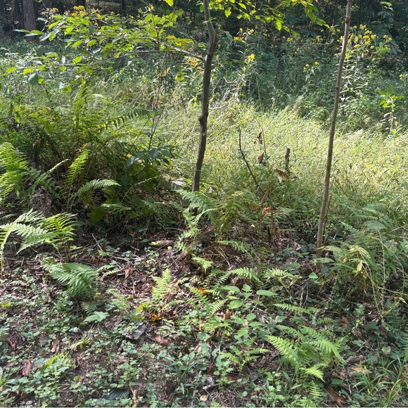 Meet your Posher, Alexius - Picture 4 of 4